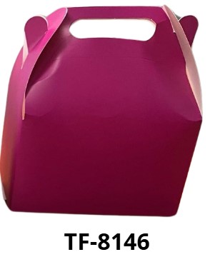 TF-8146 CAJA LONCHERITA MATTE FUSCIA