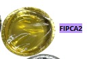 [FIPCA2] Platos para Cumpleaños grandes 10 piezas 10"