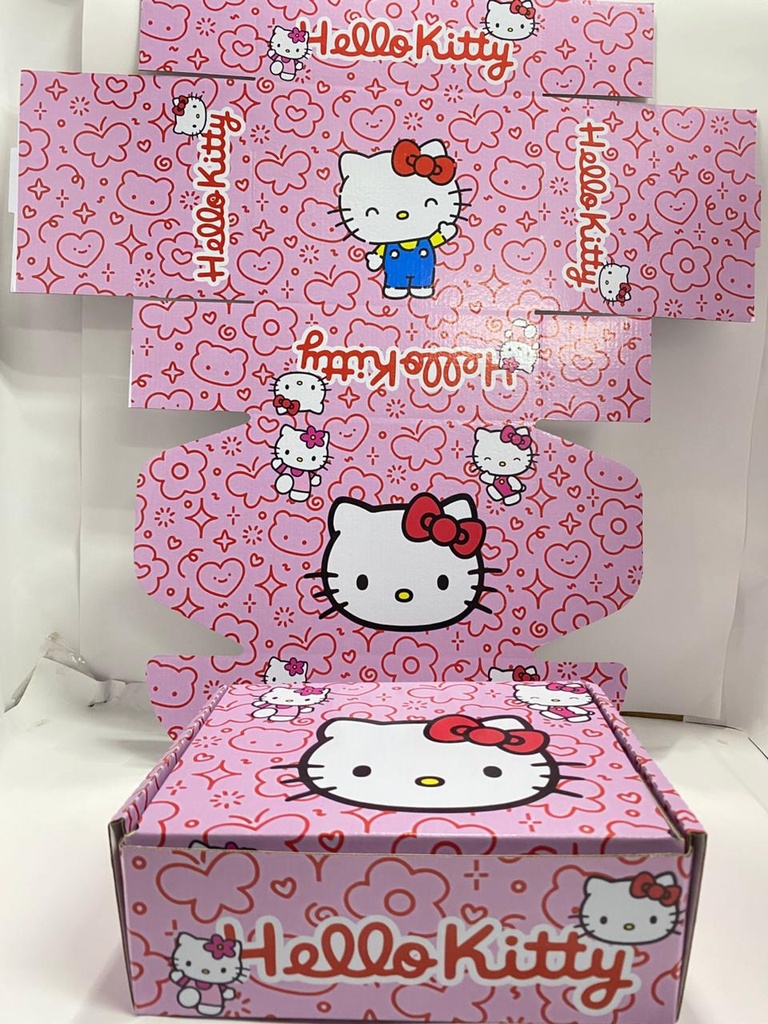 CAJA CORRUGADA DE PERSONAJES HELLO KITTY