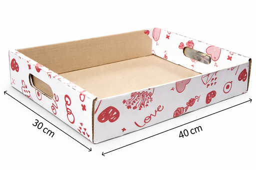 [PYM-000276] BANDEJA ESPECIAL 40X30CM