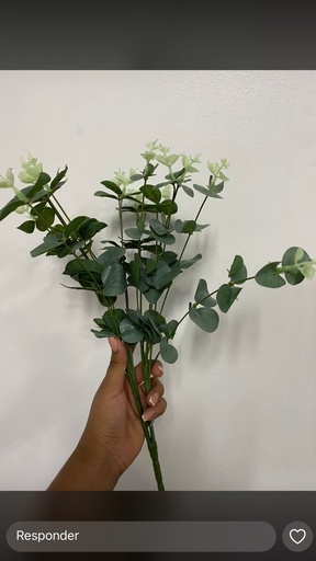 [30683] RAMA D/HOJAS GARDEN 2E