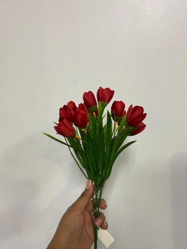 [TF-6785] RAMO MINI TULIPAN ROJO